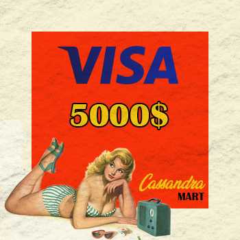 Visa $5000 Balance